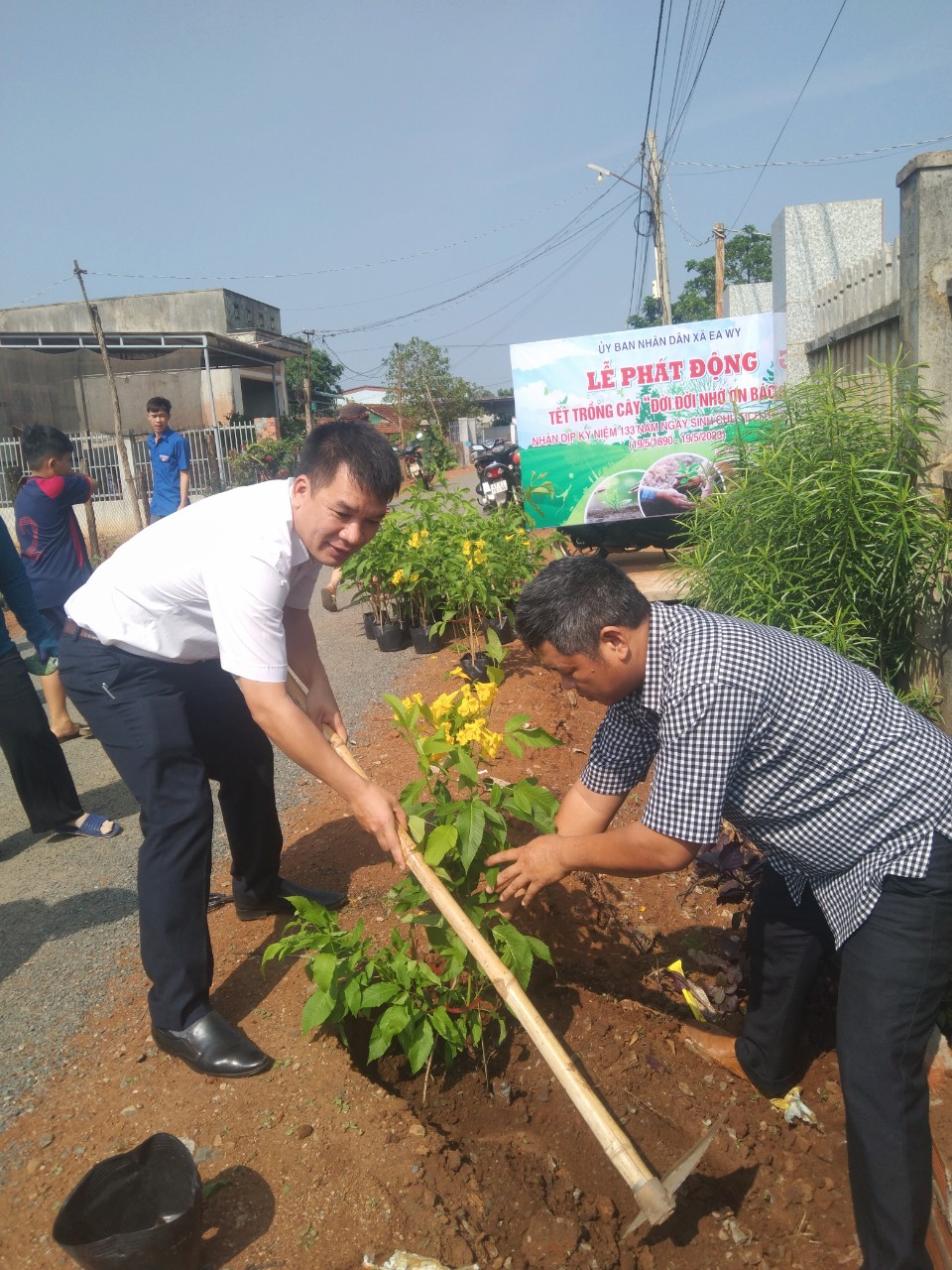 TRỒNG CÂY ĐƯỜNG HOA2